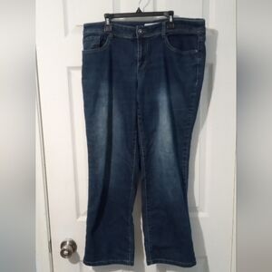 Christopher & Banks Dark Blue Flare Jeans